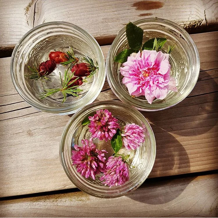 ミントページ■1449+1399×4=7,045■ヒーリングハーブス社 Single Flower Essences M - Z — Wildflower Centre for Natural Healing